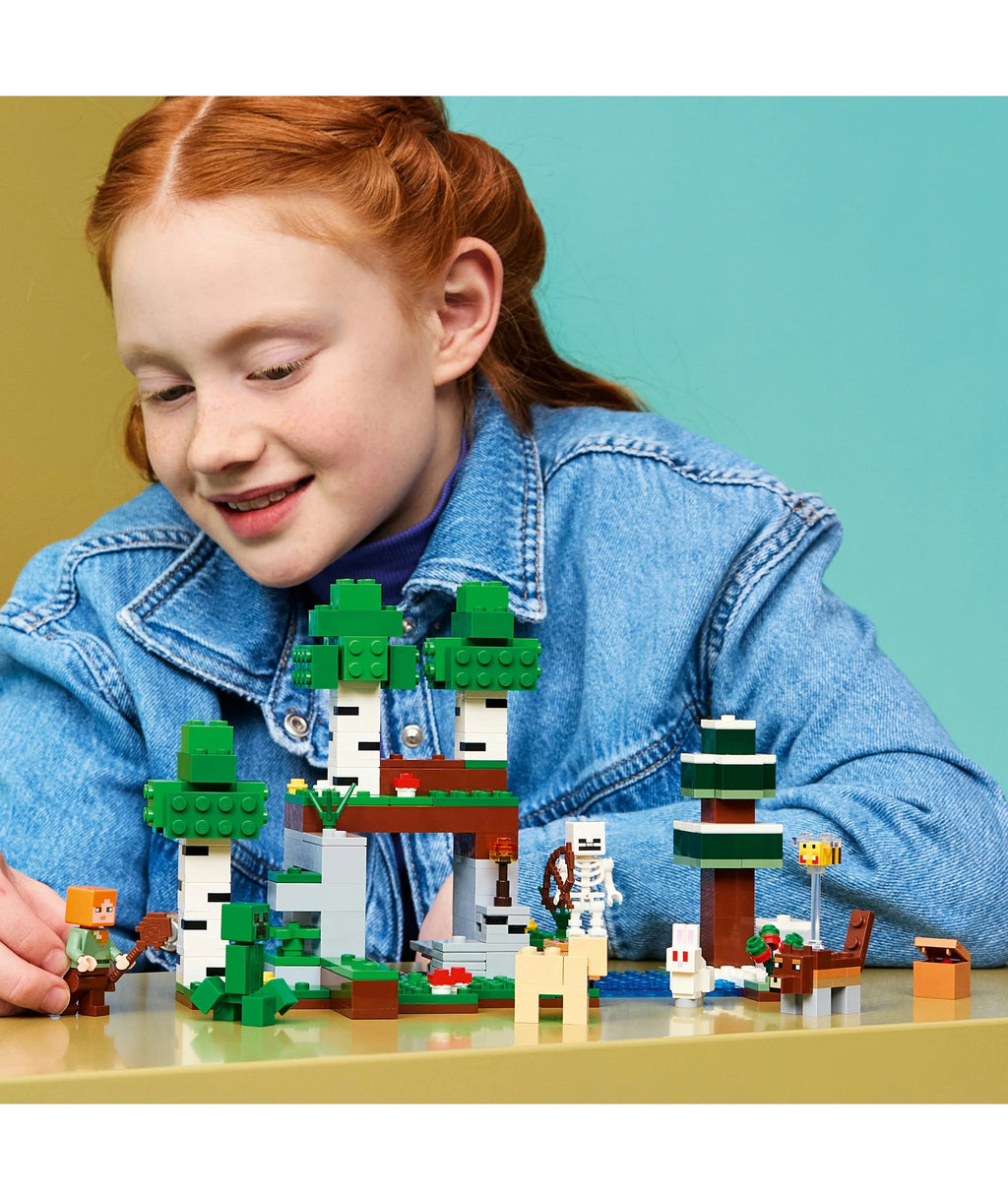LEGO® - First Night Adventure - 21593