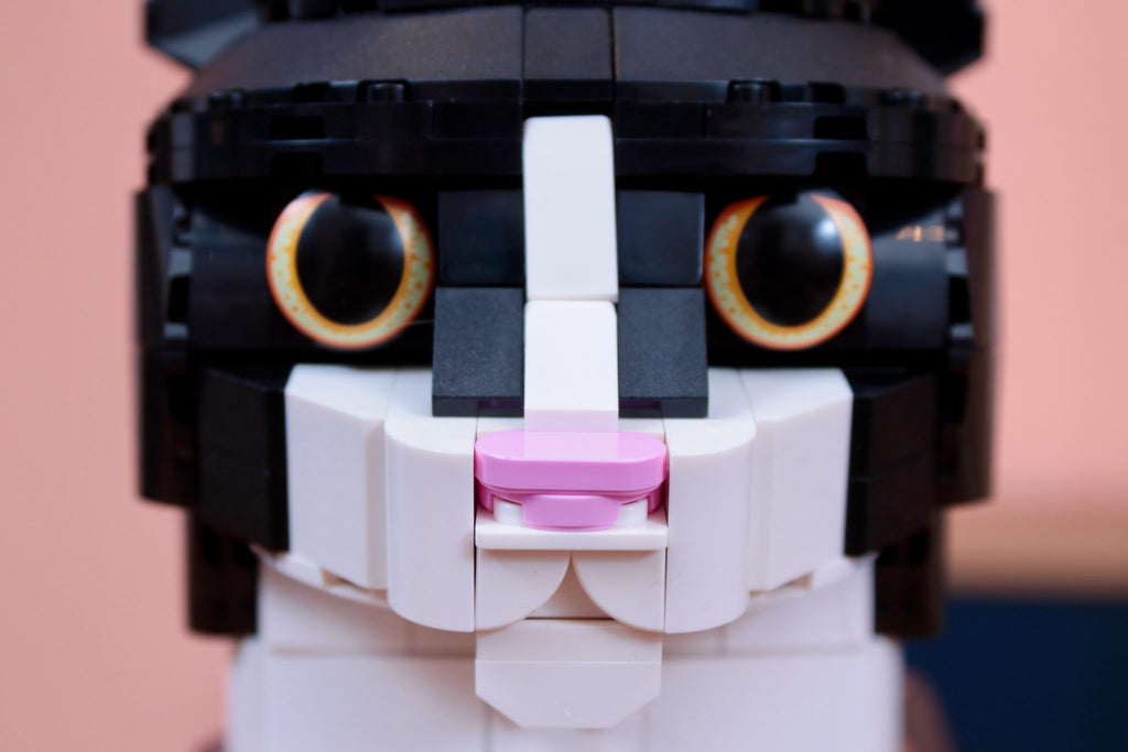 LEGO® - Tuxedo Cat - 21349