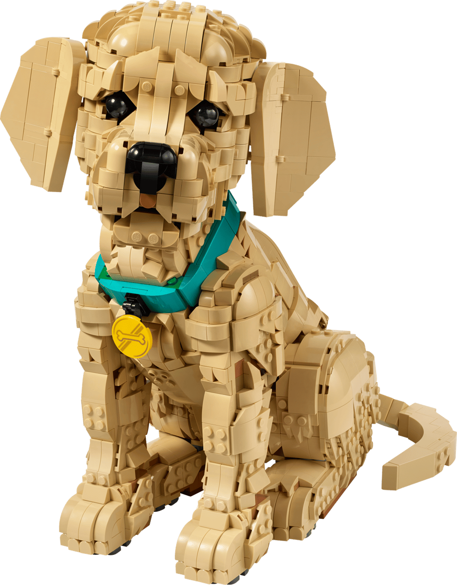 LEGO® Icons - Golden Retriever Puppy - 11384