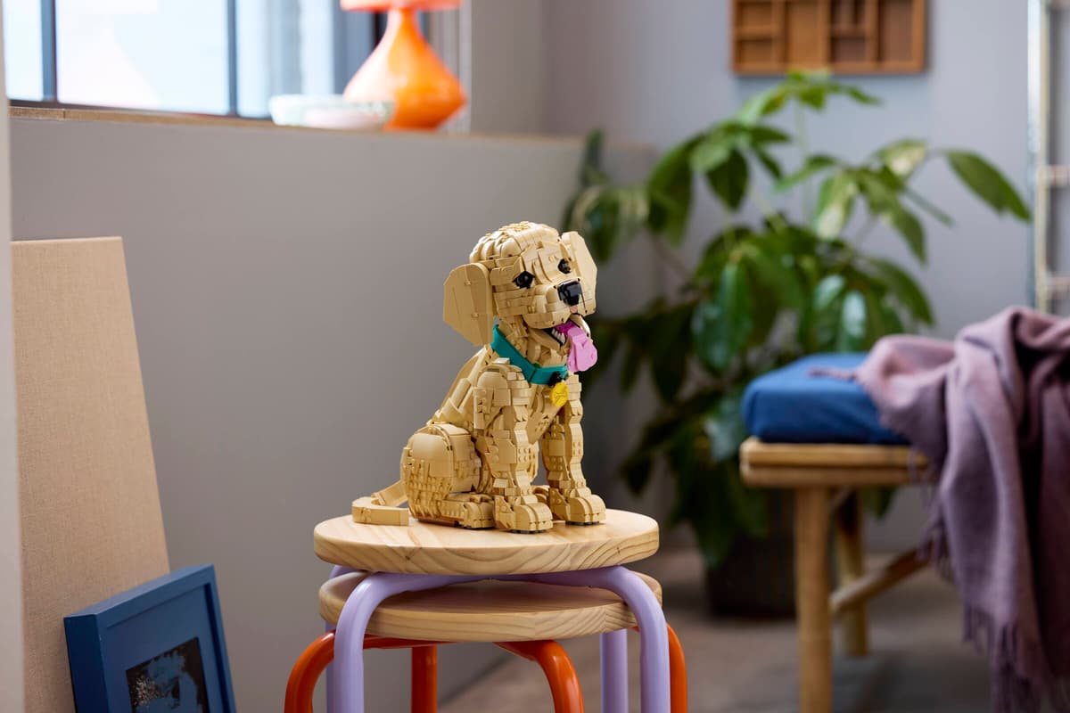 LEGO® Icons - Golden Retriever Puppy - 11384