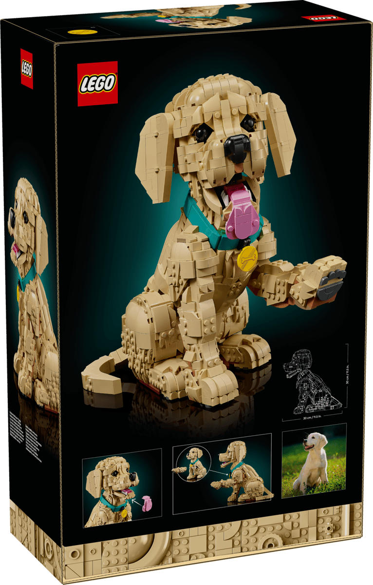 LEGO® Icons - Golden Retriever Puppy - 11384