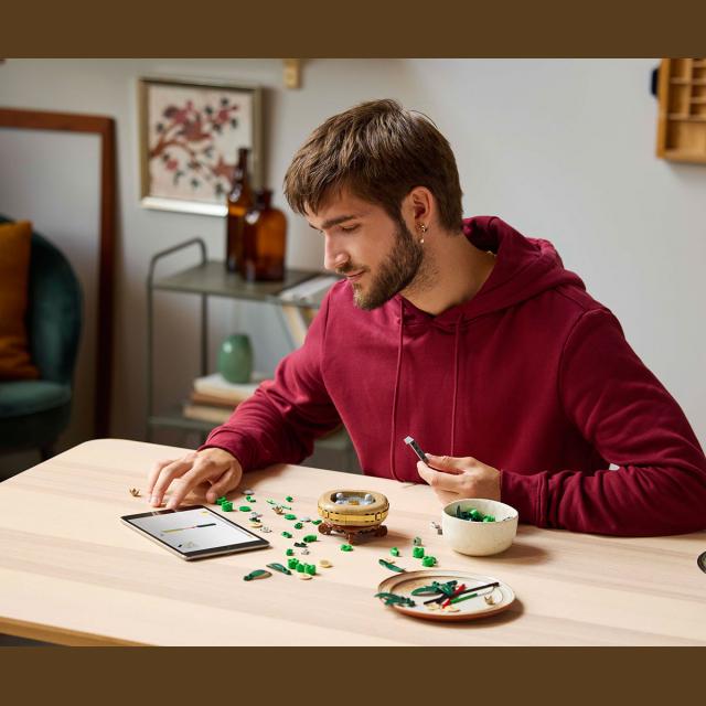 LEGO® - Lucky Bamboo - 10344